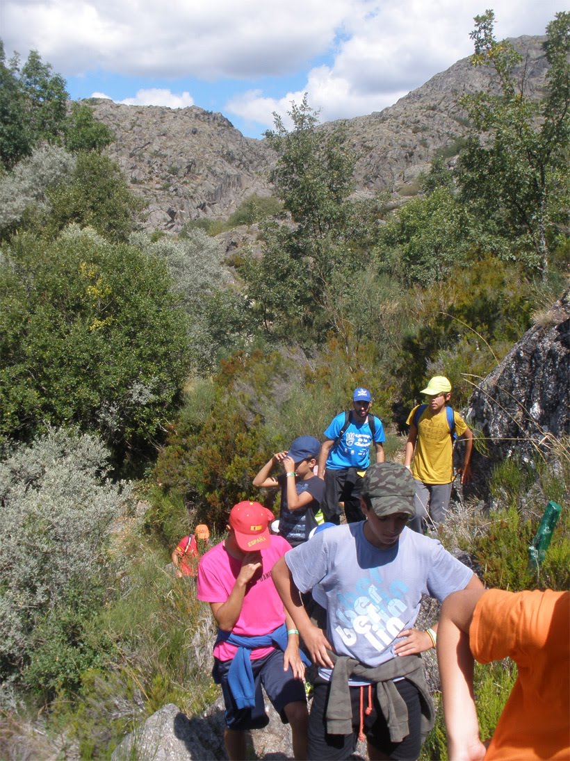 Fotos campamento de verano 2019