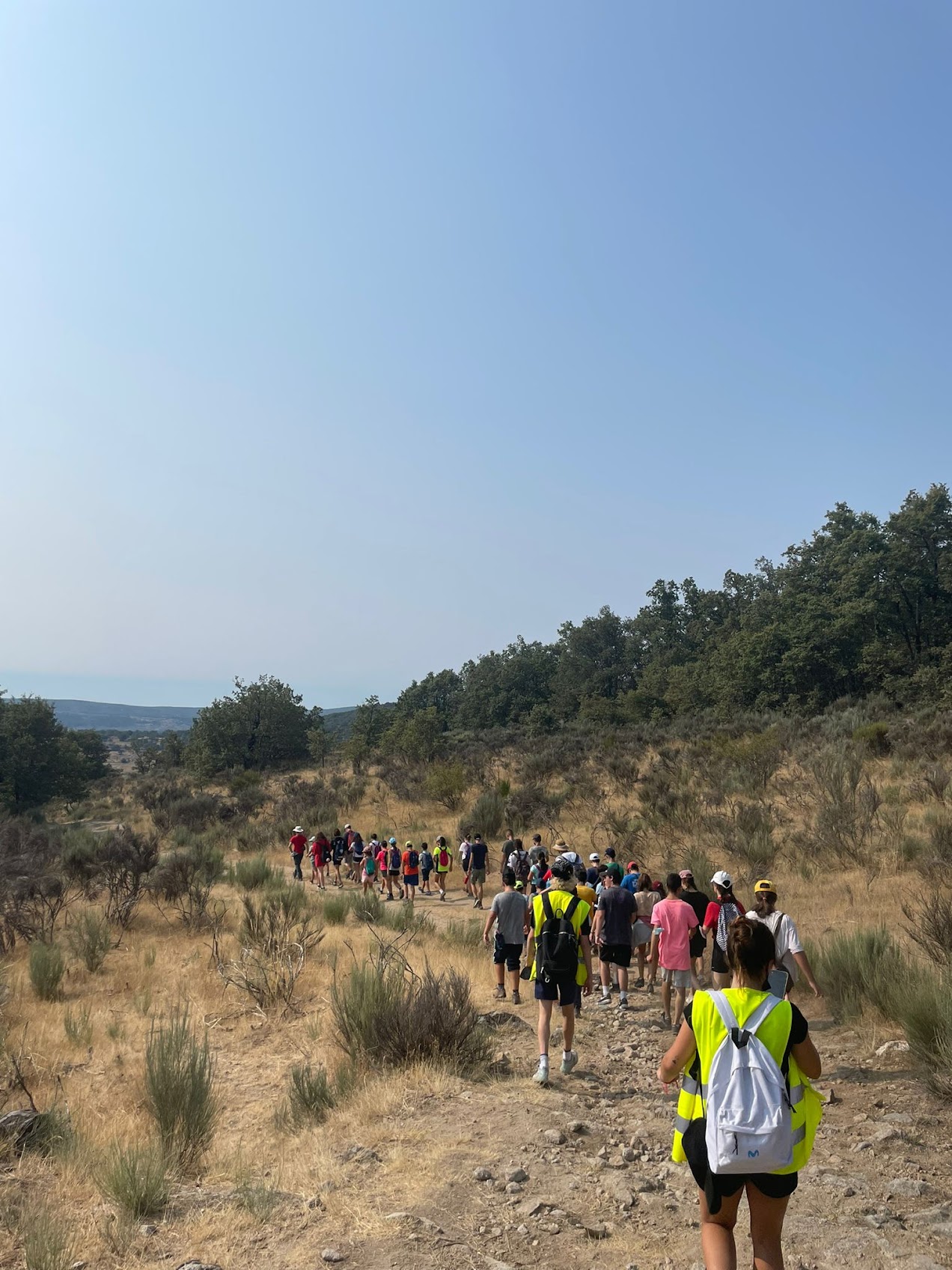 Fotos campamento de verano 2020